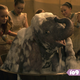Baby elephant being washed? Yes, adorable, but that’s about it.